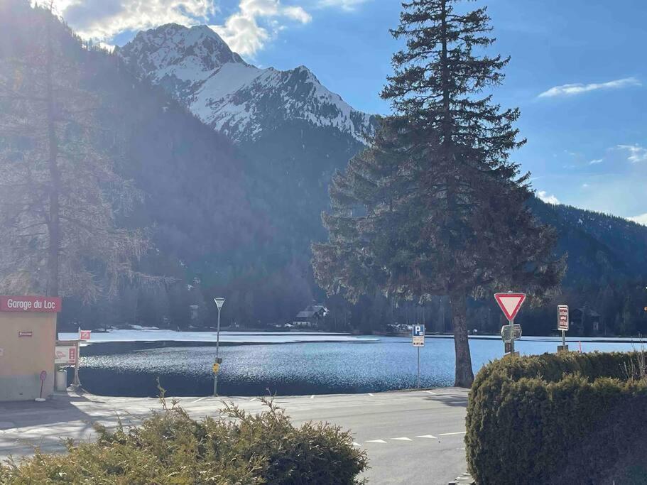 Charmant 2,5 Pieces Avec Jardin A 2 Pas Du Lac Champex-Lac Екстериор снимка