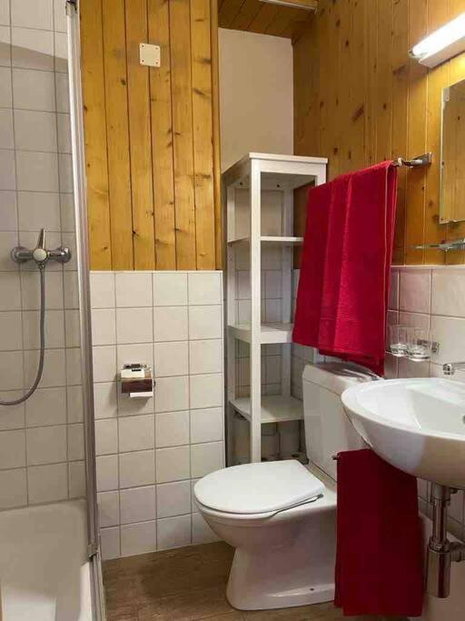 Charmant 2,5 Pieces Avec Jardin A 2 Pas Du Lac Champex-Lac Екстериор снимка